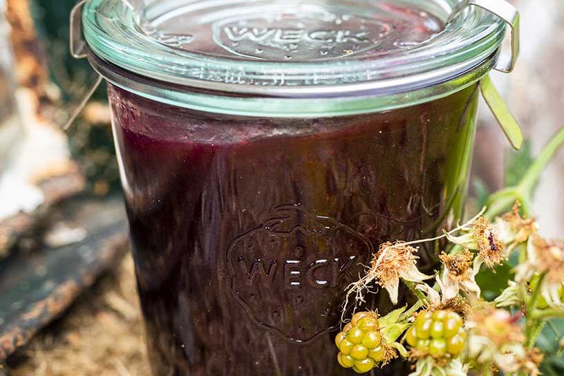 Potje bramenjam naast een bramenstruik.